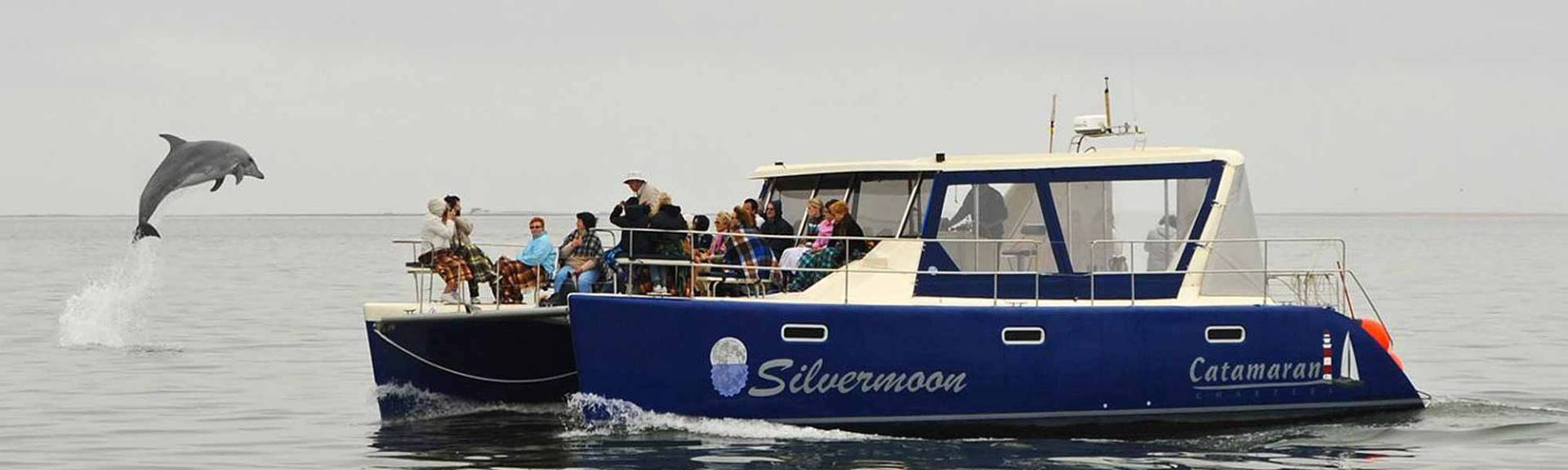 catamaran charters walvis bay facebook
